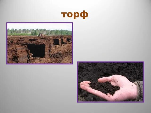 Нефть глина торф. Торф. полезные ископаемые торф. торф рисунок. торф полезное ископаемое.