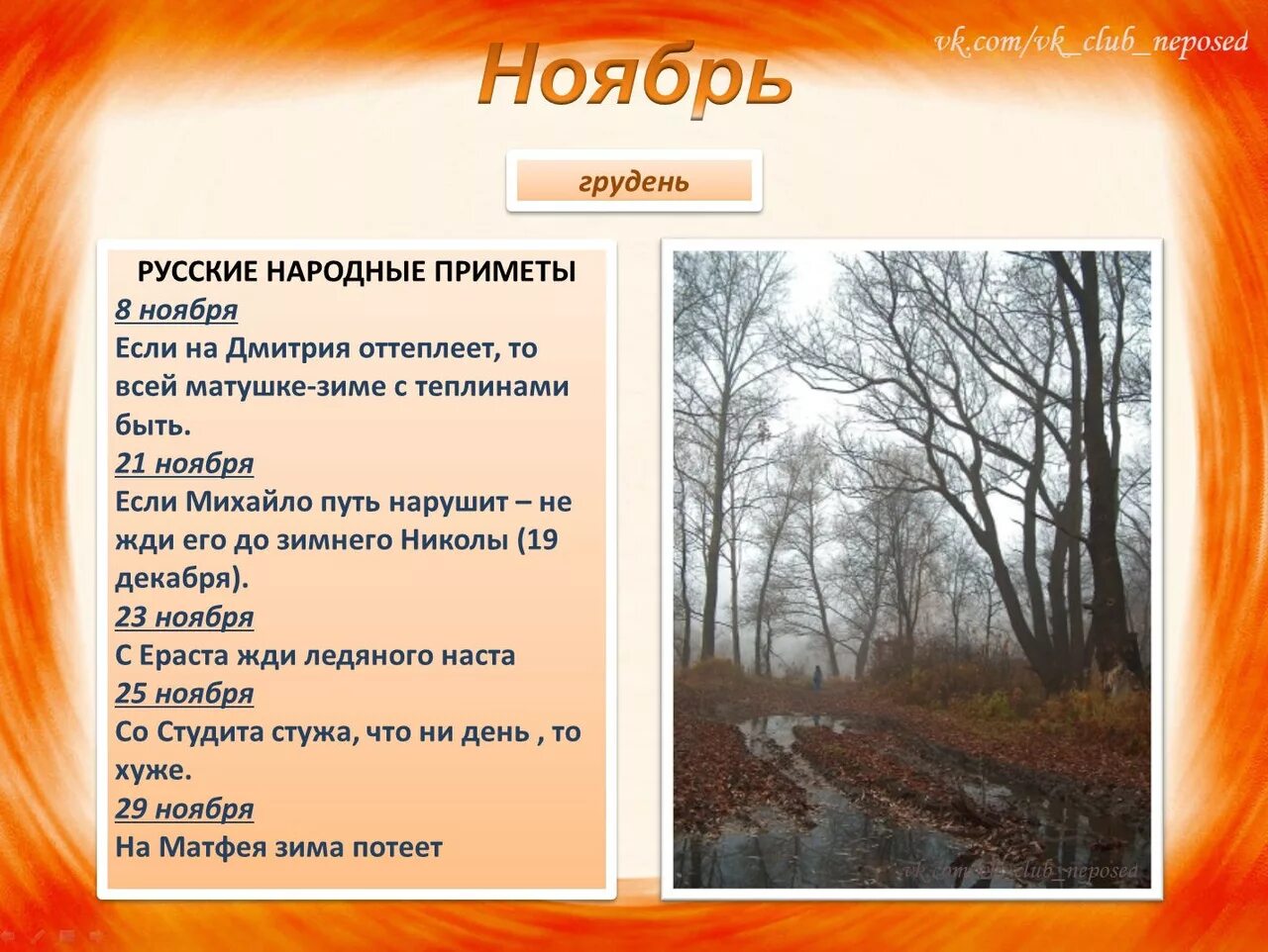 Что будет в стране в октябре. Осенний календарь природы. Приметы ноября. Осенние месяцы приметы. Народные приметы осени.