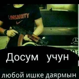 Бир досум