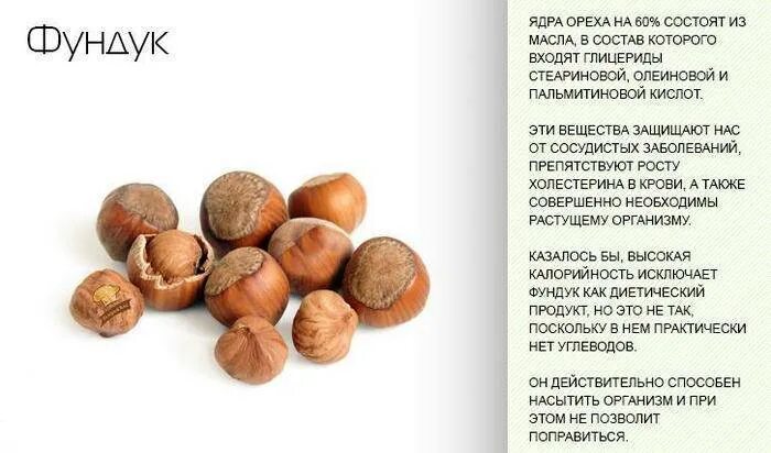 Орехи фундук вред. Лещина орех. Орехи фундук вред. Орехи фундук вред. Лесной орех.