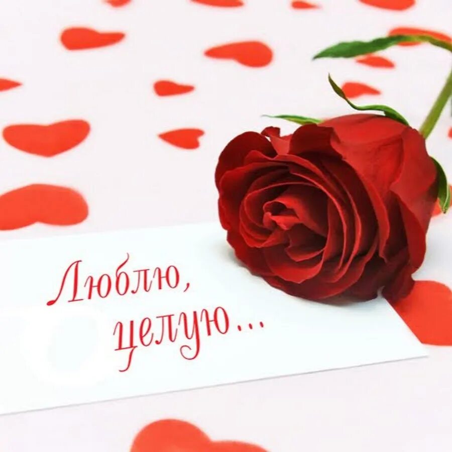 Я безумно тебя люблю. Любимой инке. Кружка я люблю вику. Любимой инке. Люблю леру.