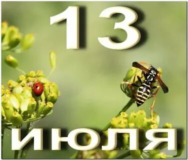 29 30 31 июля