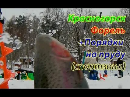 Рыбалка в красногорске форум последняя