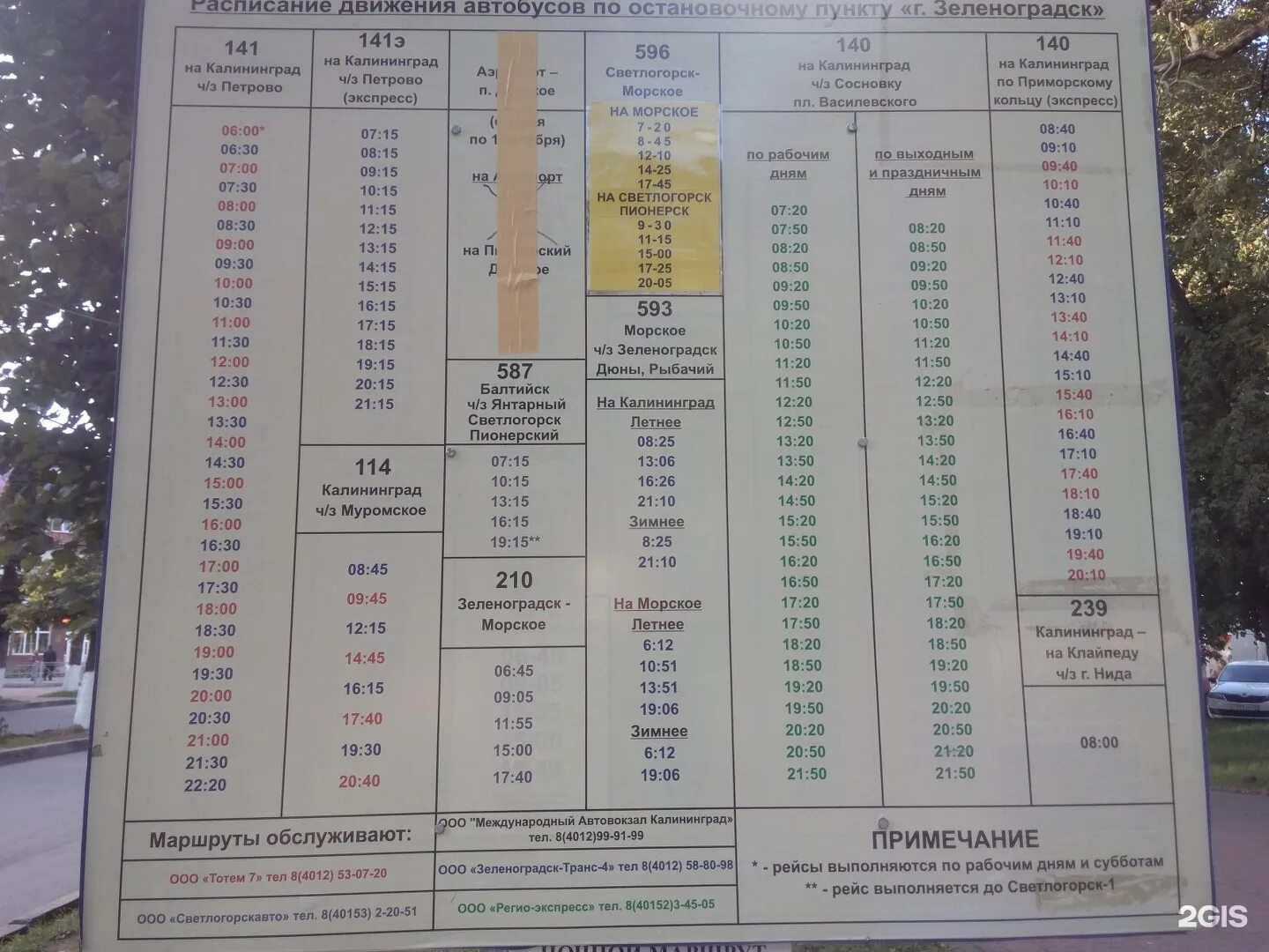 Вокзал южный зеленоградск расписание сегодня. 140 Автобус Зеленоградск. 140 Автобус Калининград Зеленоградск. Расписание 141 автобуса Зеленоградск. Расписание автобусов Зеленоградск Калининград 140.