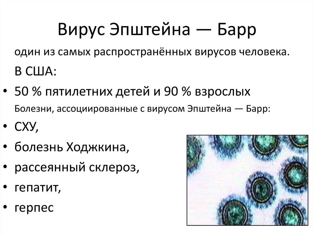 Эпштейн барр в слюне. Антигены вируса Эпштейна-Барр EBV. Вирус Эпштейна-Барр симптомы. VCA вируса Эпштейна-Барр. Инфекции Эпштейн Барра у детей симптомы.