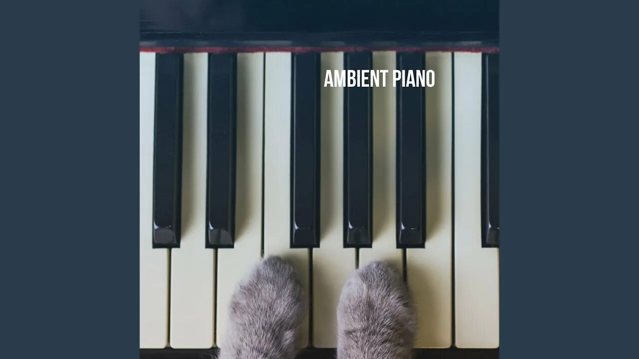 Ambient piano. Снимки пианино с композицией и глубиной резкости. Чёрно белое пианино. Dali piano ambient. Ambient piano.