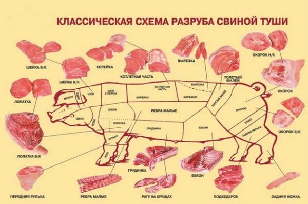 Где у свиньи карбонат