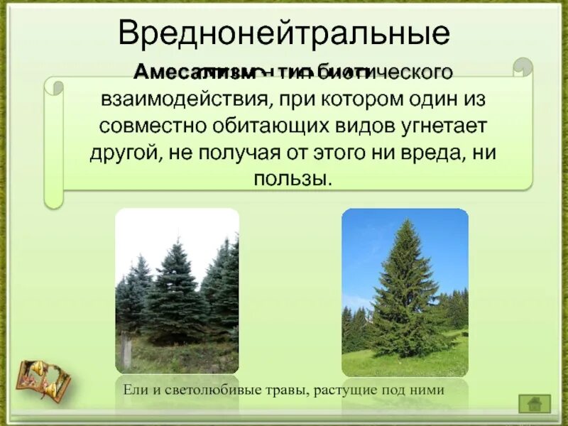Биотические факторы взаимоотношения между организмами. Экосистема продуценты консументы редуценты. Тип биотических взаимоотношений организмов. Виды биотических отношений. Биотические связи в природе таблица.