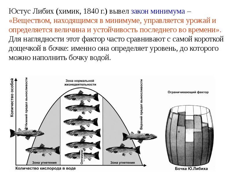 Оптимум гис. Работа оптимум систем. Система оптимум. Урбосистемы. Технологический выбор в экономике.