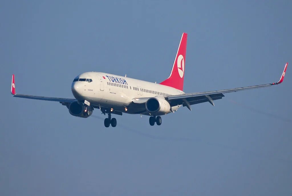 Туркиш эйрлайнс боинг. Боинг 777 туркиш эйрлайнс. Turkish airlines-thy боинг 737-800. Туркиш эйрлайнс боинг. Boeing 737-800 turkish airlines.