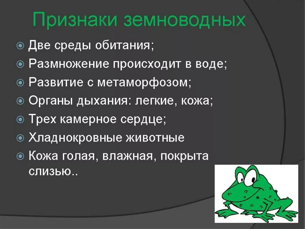 Признаки присущие земноводным. Общие признаки земноводных. признаки класса земноводные. признаки земноводных животных. общие черты земноводных.