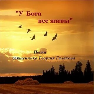 Живой ибо