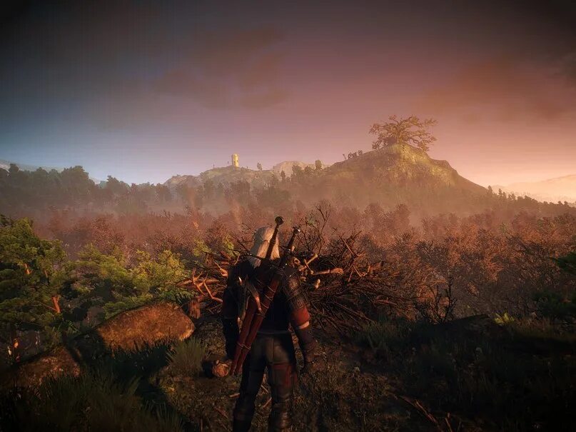Ведьмак 3 отличие. The witcher 3 wild hunt графика. ведьмак 3 е3. ведьмак 3 геймплей. ведьмак 3 мод на графику e3.