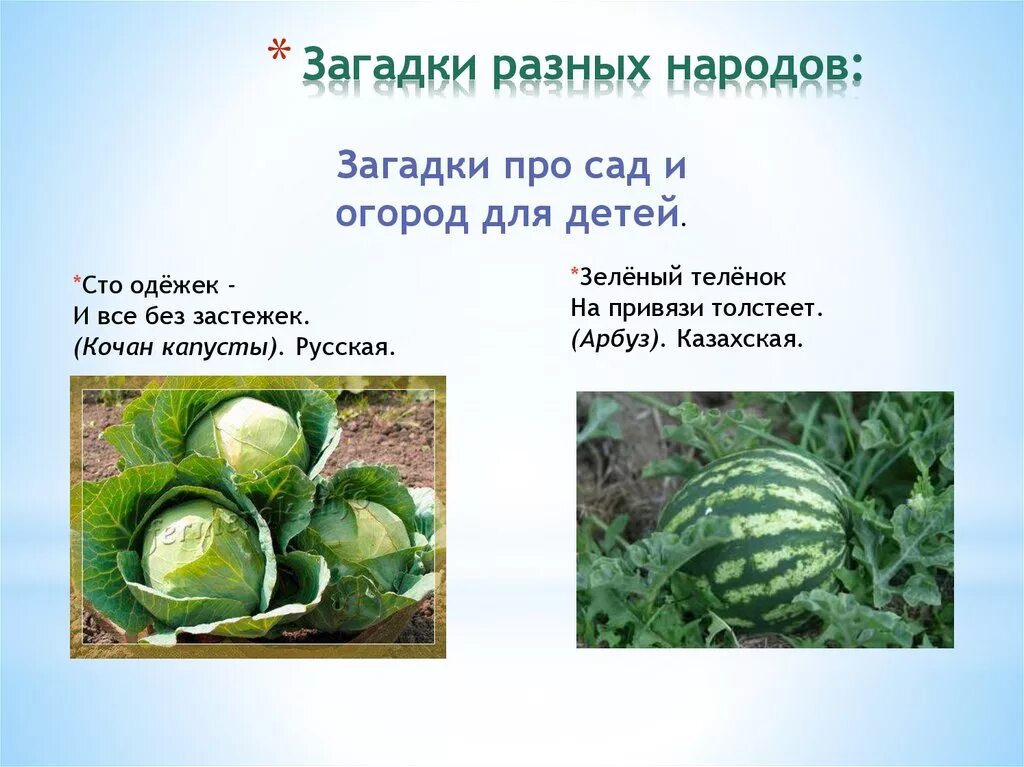 Презентация на тему материки. Загадки разных стран. Загадки разных народов. Загадки разных стран. Загадки разных стран.