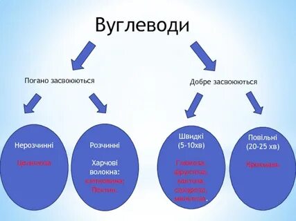 Які групи