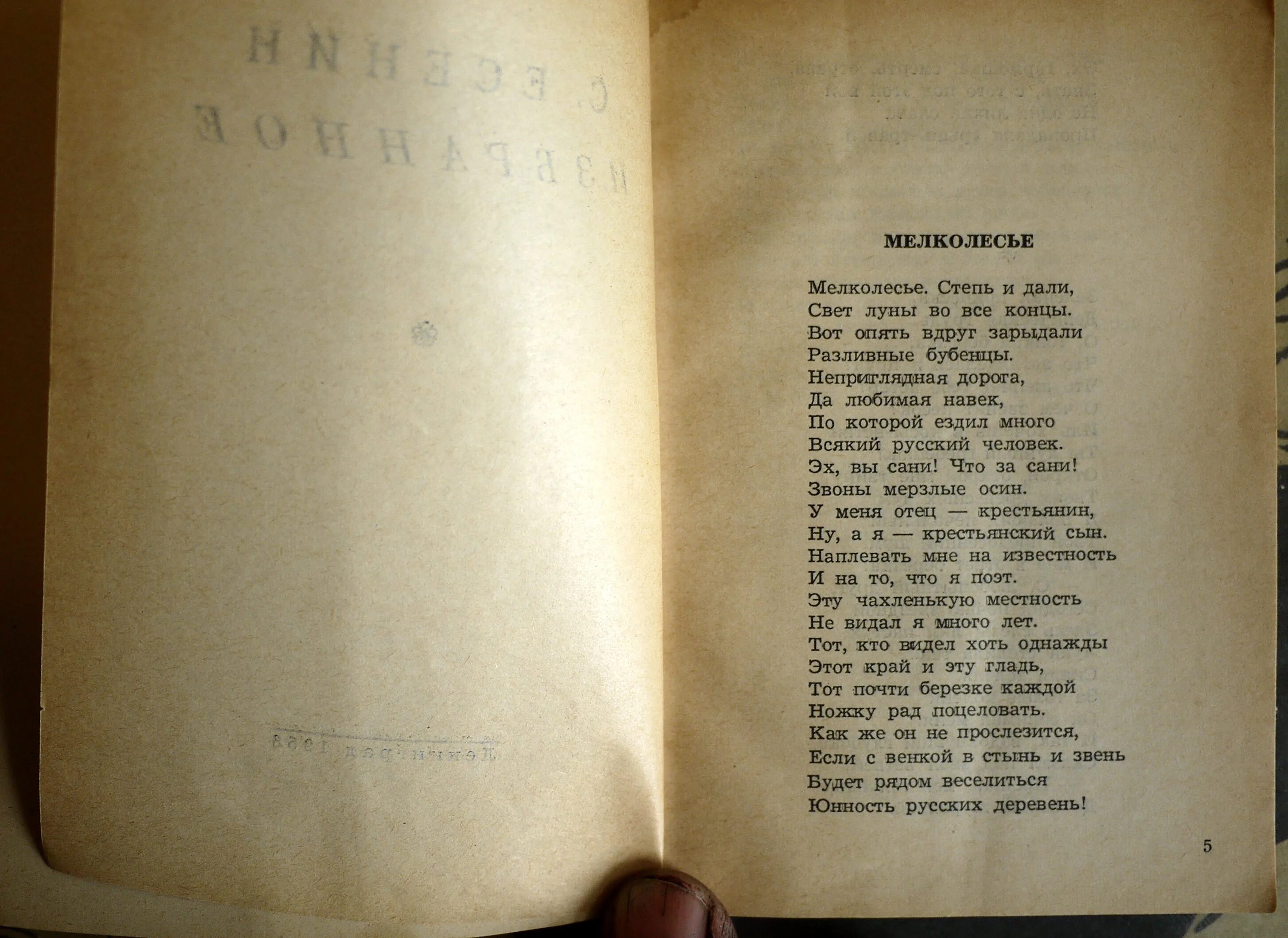 Свет луны во все концы. Стих мелколесье. Мелколесье степь и дали свет Луны. Мелколесье степь и дали Есенин. Стихотворение мелколесье степь и дали Есенин.