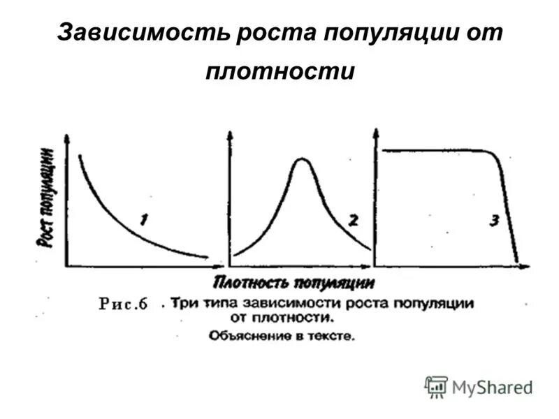 При чрезмерном увеличении численности плотности популяции. Рост плотности популяции. Типы зависимости роста популяции от плотности. Численность и плотность популяции. Скорость роста популяции.