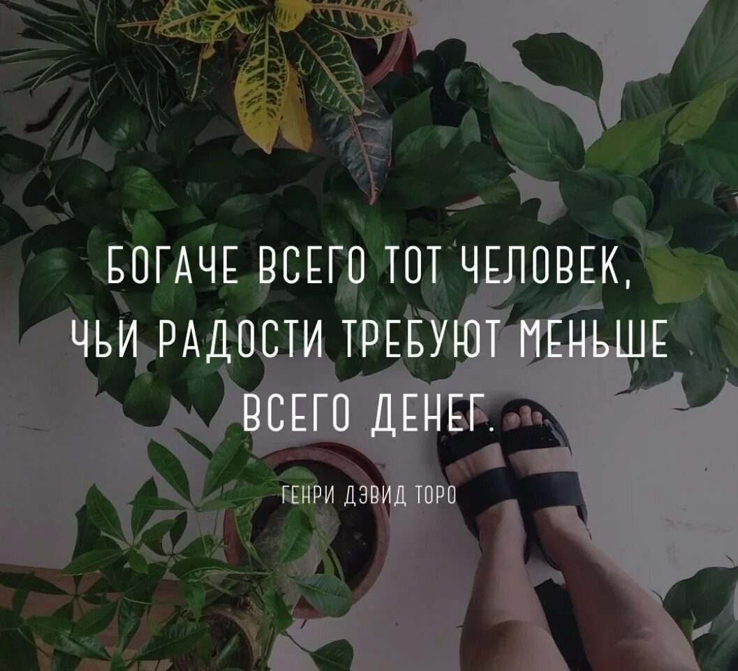 Богатой буду выражение