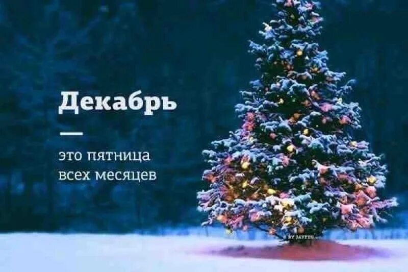 Цитаты про зиму и новый год. Зима скоро новый год. декабрь. цитаты про декабрь и новый год. статусы про новый год.