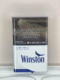 Винстон 2024