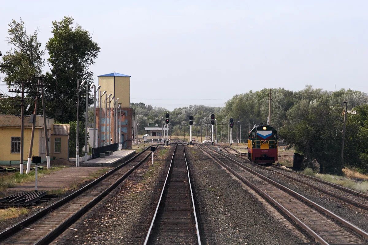 ст 6 конституции ссср 1977. ст й. станция иловля 1. ст й. станция глазуновка.