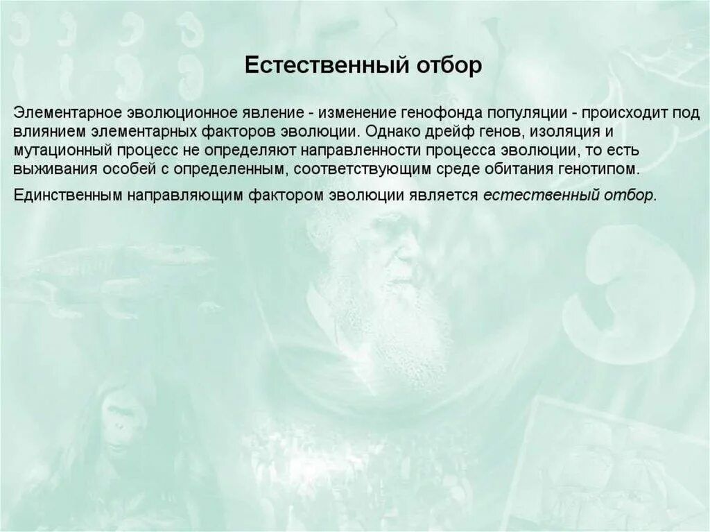 Элементарные эволюционные факторы изоляция. Дрейф генов изоляция факторы эволюции. Элементарные факторы эволюции. Элементарные эволюционные факторы презентация. Дрейф генов элементарное эволюционное явление.