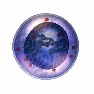 Human cell