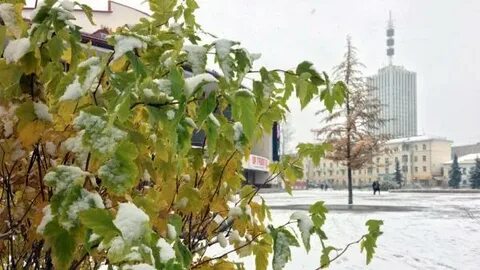 Архангельский гидрометцентр