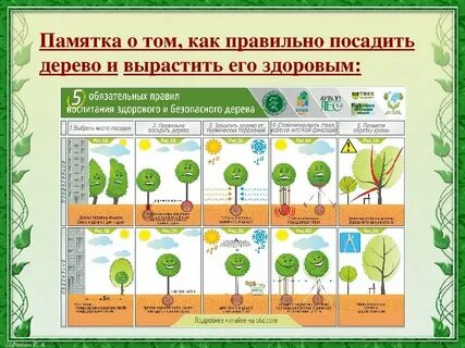 Тема посадки