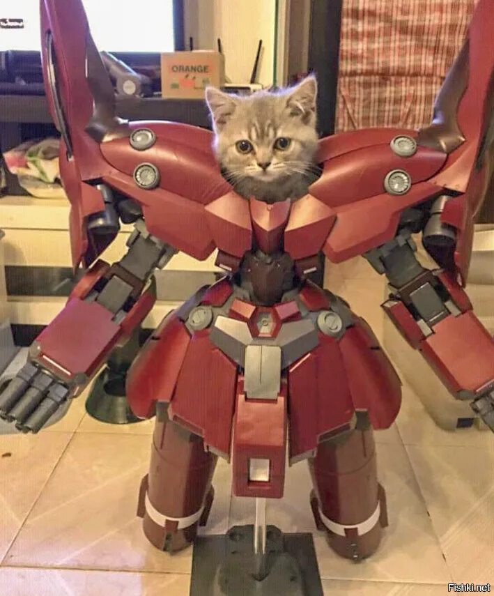 Котобот