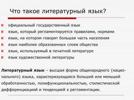 Литературный язык это определение в русском языке