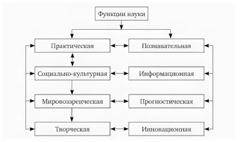 Роль и функции науки в обществе. Функции науки схема. Схема функции науки в обществе. Познавательная функция науки. Социальная функция науки.