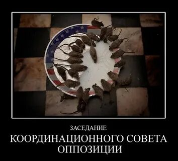 Суть оппозиции