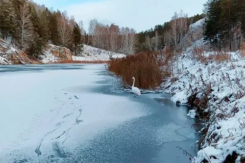 Как река исеть изменяется в разные времена