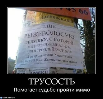 Трусость продляет жизнь