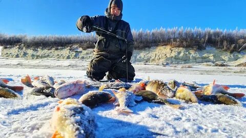 Рыбалка в якутии зимой