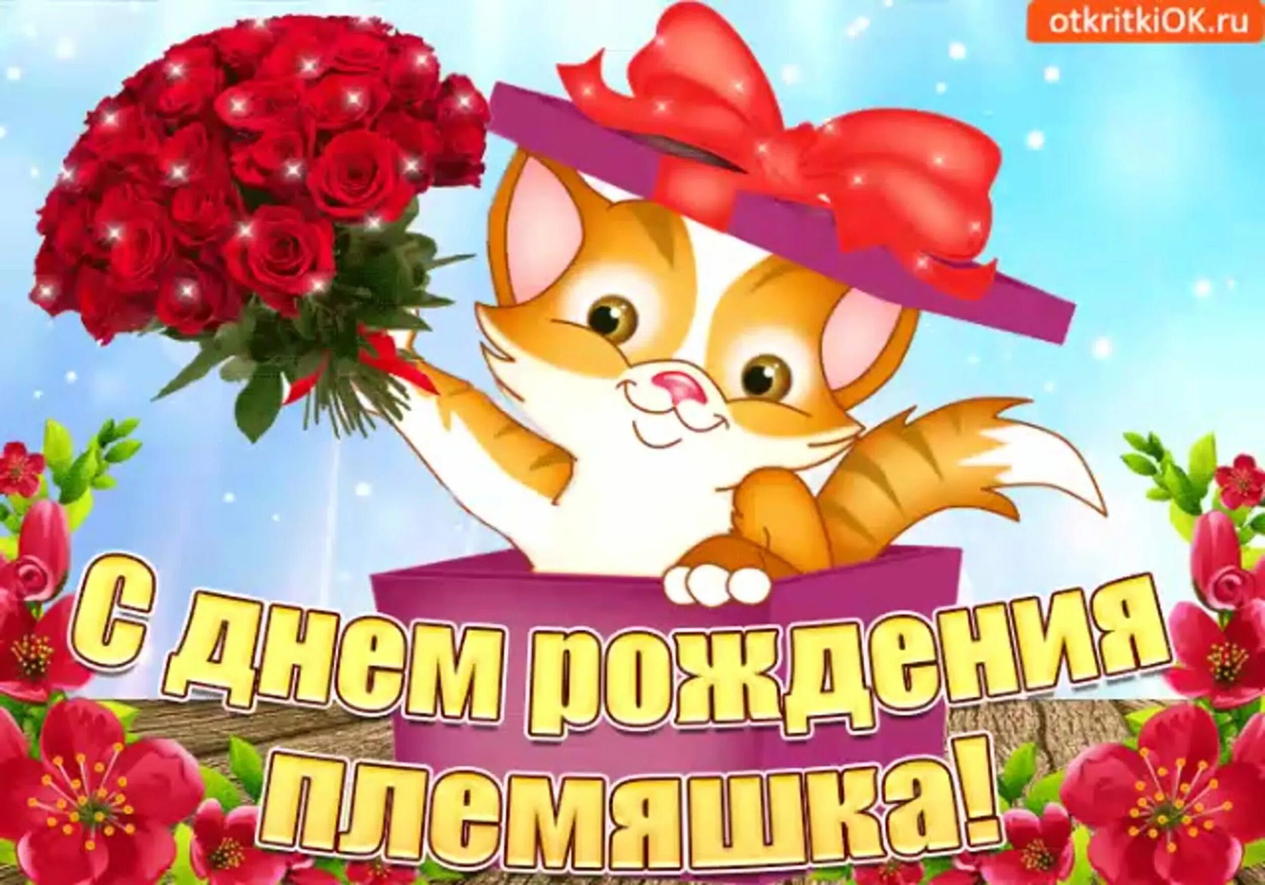 Поздравления с днём рождения плямннице