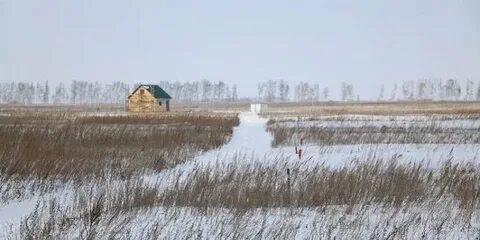 Малиновка тамбов