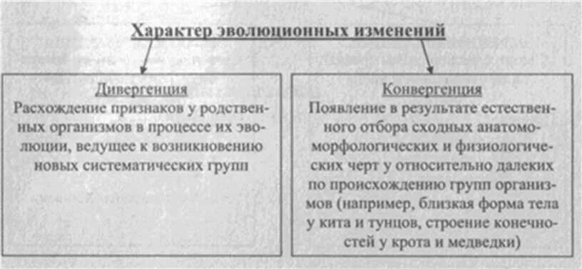 Сфера изменений суть изменений таблица 9 класс. Типы эволюционных изменений таблица. таблица по биологии типы эволюционных изменений. типы эволюционных изменений таблица 9 класс. типы эволюционных изменений 9 класс биология.