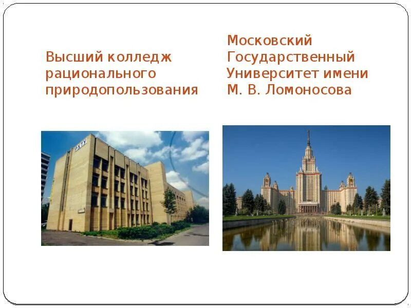 Виды высших учебных заведений. Виды высших учебных заведений