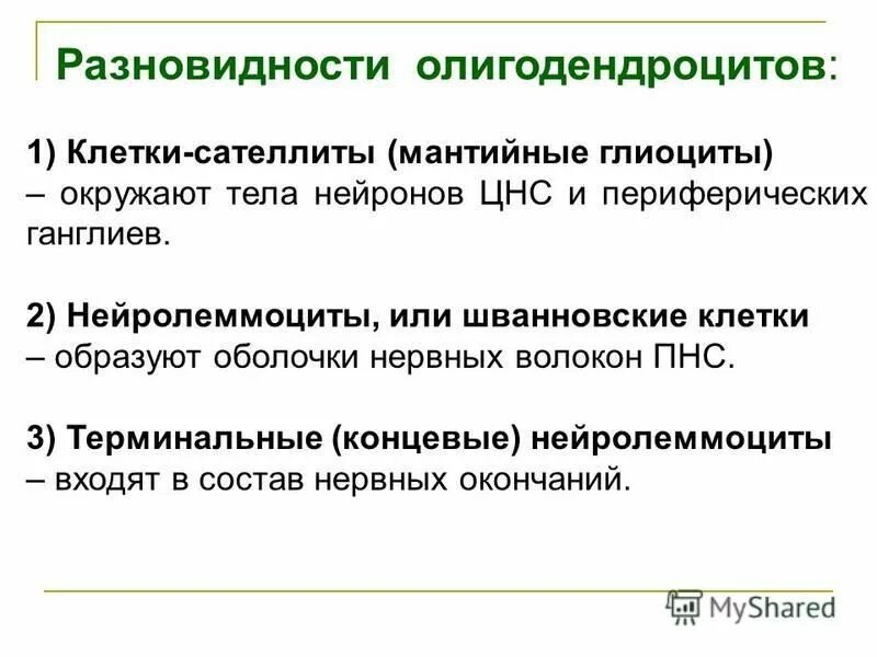 чувствительный ганглий гистология. мантийные глиоциты. спинальный ганглий гематоксилин и эозин ) гистология препарат. виды астроцитов. мантийные глиоциты.