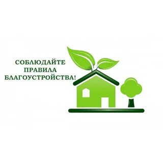 Правила благоустройства 272