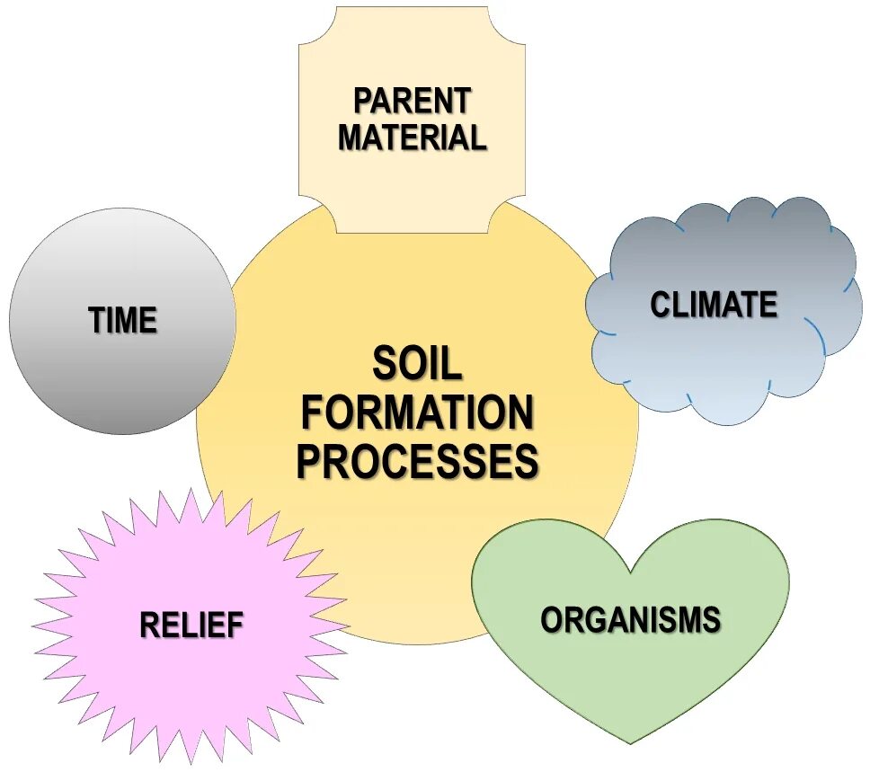Soil formation. Факторы почвообразования схема. Процесс образования почвы. Факторы образования почвы.