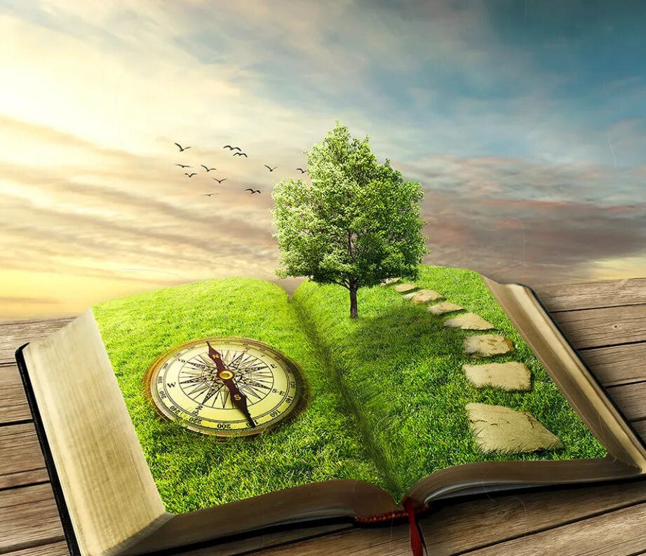 Путь жизни автор. Книга природа. Философия природы. Знания мудрость. Мудрость природы.