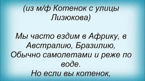 Песня 1 котенок