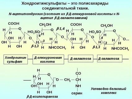 Роль глюкуроновой кислоты
