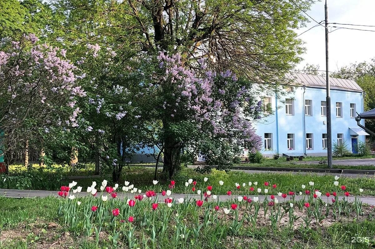 Научно практический центр здоровья детей имени сухаревой. Сухаревой научно практический центр психического здоровья. психиатрическая больница имени сухаревой. сухарева больница в москве психиатрическая. центр сухаревой москва.