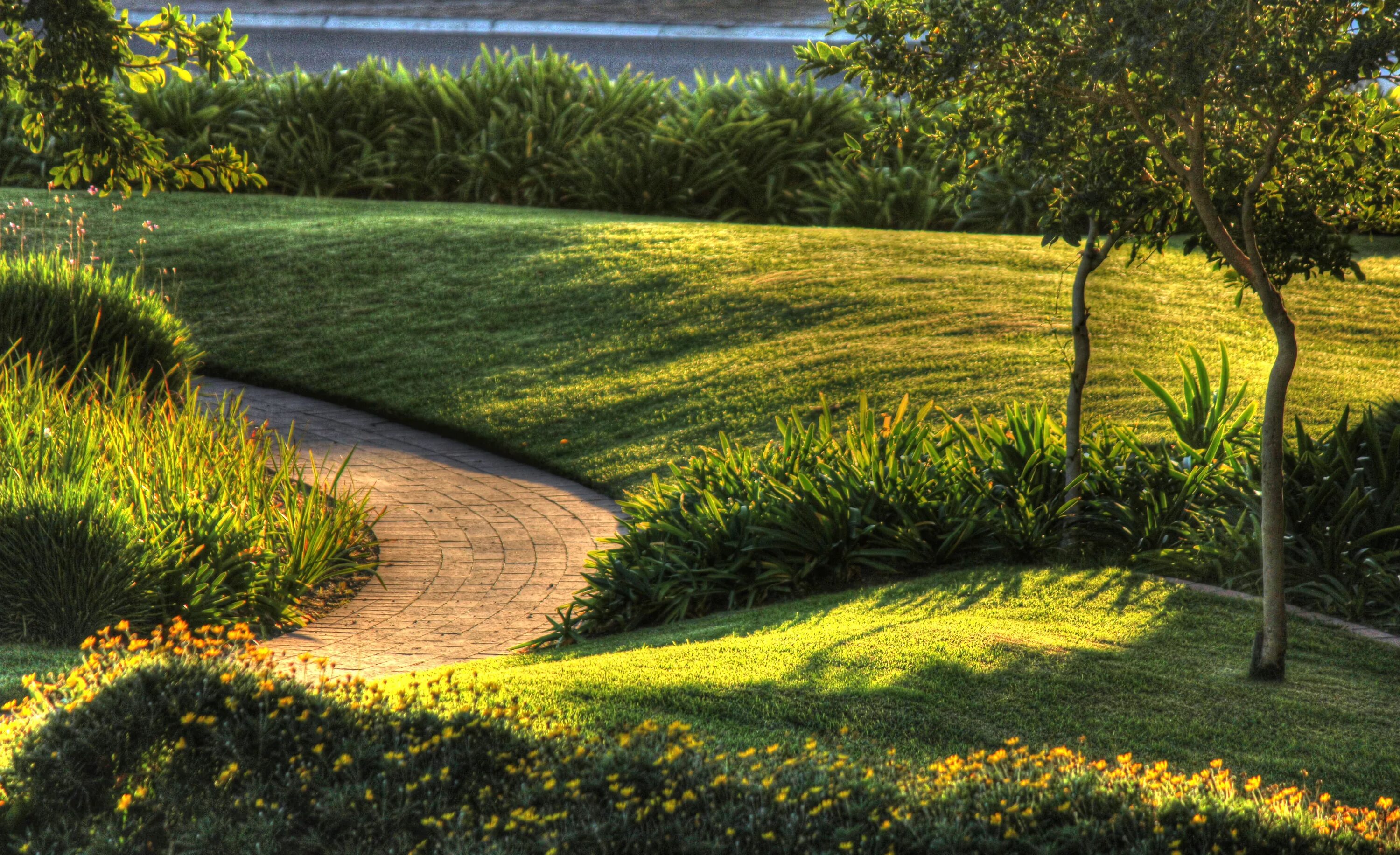 Landscape element