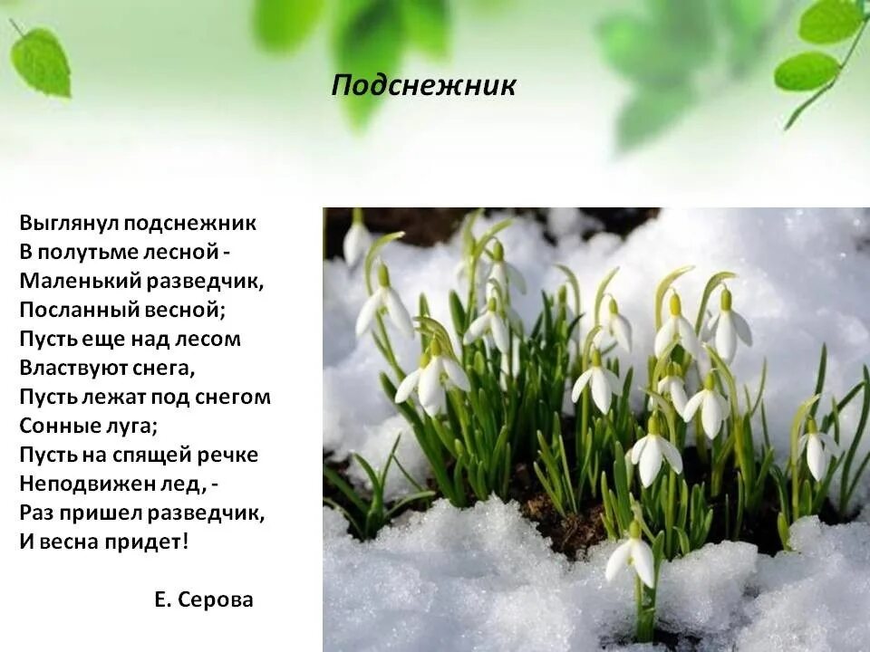 Е Серова Подснежник. Стих про весну. Стих про Подснежник. Стихотворение о весне. Небольшой стих про весну