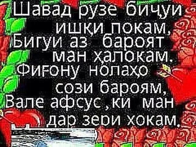 Шер бо забони точики. Таджикские стихи про любовь. Шери ошики бо забони точики. Шеърхои ошикона бо забони.